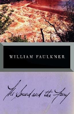 The Sound and the Fury - William Faulkner - cover