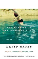 The Wonders of the Invisible World