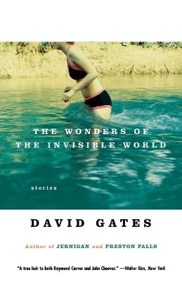 The Wonders of the Invisible World - David Gates - cover