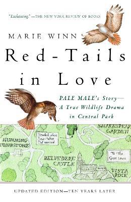 Red-Tails in Love: PALE MALE'S STORY--A True Wildlife Drama in Central Park - Marie Winn - cover