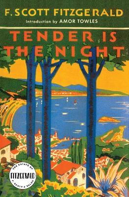 TENDER IS THE NIGHT - F. Scott Fitzgerald - cover