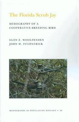 The Florida Scrub Jay (MPB-20), Volume 20: Demography of a Cooperative-Breeding Bird. (MPB-20) - Glen Everett Woolfenden,John W. Fitzpatrick - cover