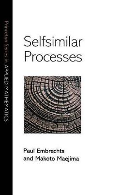 Selfsimilar Processes - Paul Embrechts - cover