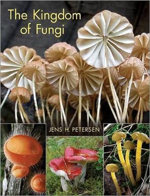 The Kingdom of Fungi - Jens Henrik Petersen - cover