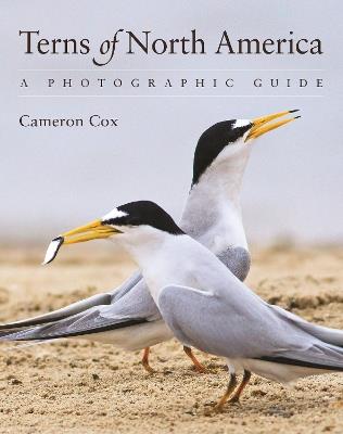 Terns of North America: A Photographic Guide - Cameron Cox - cover