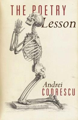 The Poetry Lesson - Andrei Codrescu - cover