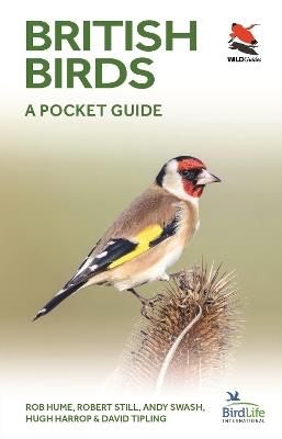 British and Irish Birds: A Pocket Guide - Rob Hume,Robert Still,Andy Swash - cover