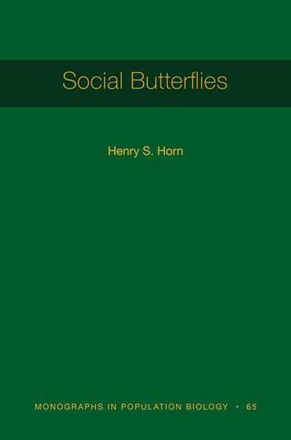 Social Butterflies