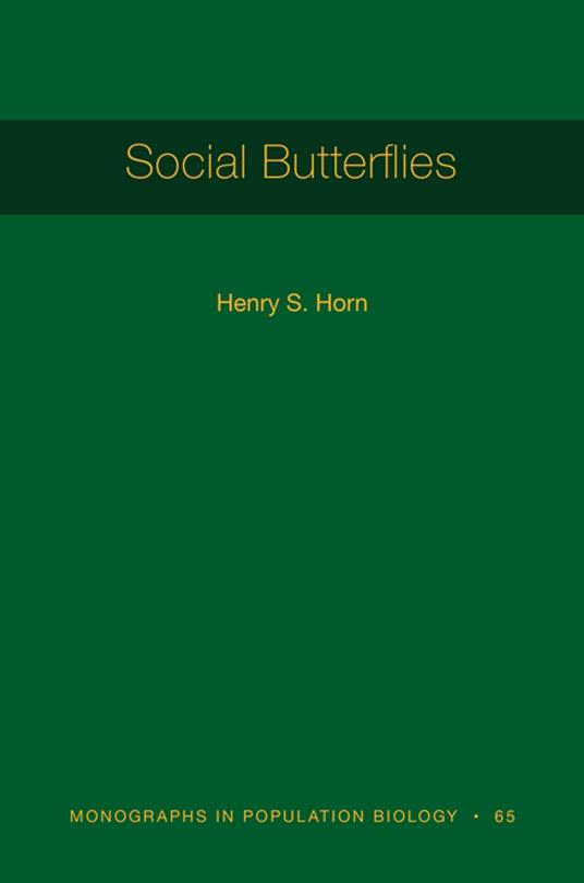 Social Butterflies