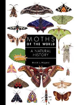 Moths of the World: A Natural History - David Wagner - cover