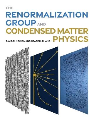 The Renormalization Group and Condensed Matter Physics - David R. Nelson,Grace H. Zhang - cover