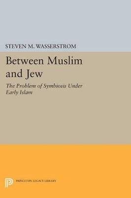Between Muslim and Jew: The Problem of Symbiosis under Early Islam - Steven M. Wasserstrom - cover