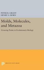Molds, Molecules, and Metazoa: Growing Points in Evolutionary Biology