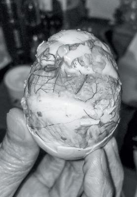 Chrysalis - Ray Potes - cover