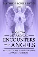 My Radical Encounters with Angels: Meeting Angels, Witches, Demons, Satan, Jesus and More - Matthew Robert Payne - cover