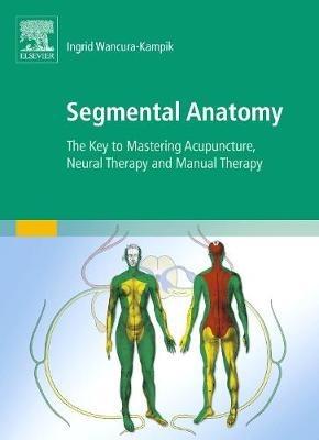 Segmental Anatomy: The Key to Mastering Acupuncture, Neural Therapy and Manual Therapy - Ingrid Wancura-Kampik - cover