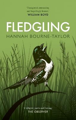 Fledgling - Hannah Bourne-Taylor - cover
