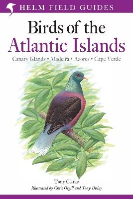 Field Guide to the Birds of the Atlantic Islands: Canary Islands, Madeira, Azores, Cape Verde - Tony Clarke - cover