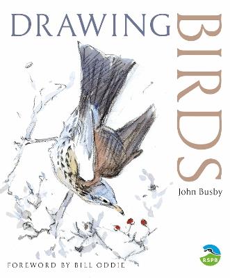 Drawing Birds - John Busby - cover
