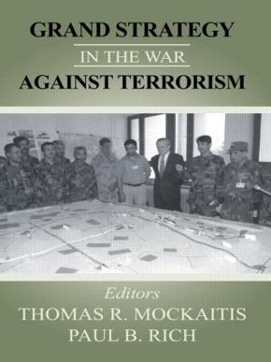 Grand Strategy in the War Against Terrorism - cover
