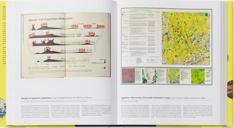 Map. Exploring the world. Ediz. illustrata - 4