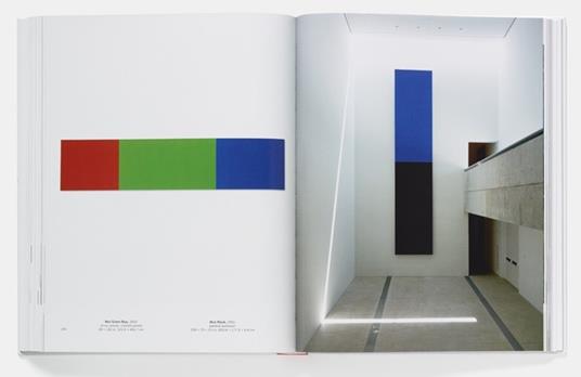 Ellsworth Kelly - Tricia Y. Paik - 3