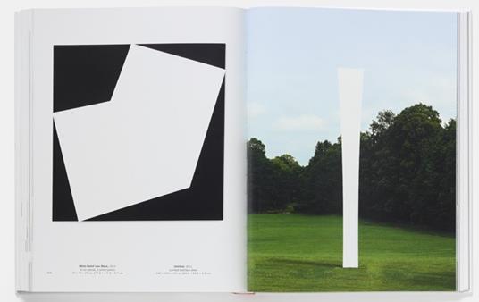 Ellsworth Kelly - Tricia Y. Paik - 4