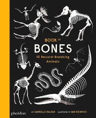 Book of bones. Ediz. a colori - Gabrielle Balkan - copertina