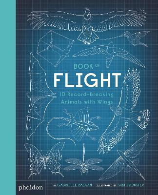 Book of Flight: 10 Record-Breaking Animals with Wings - Gabrielle Balkan - cover
