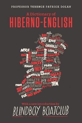 A Dictionary of Hiberno English - Terence Patrick Dolan - cover