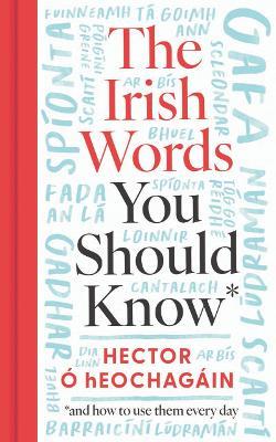 The Irish Words You Should Know: and how to use them every day - Hector Ó hEochagáin - cover