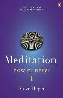 Meditation Now or Never - Steve Hagen - cover