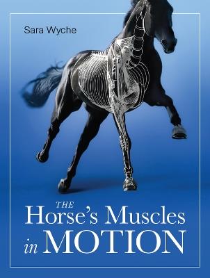 Horse's Muscles in Motion - Sara Wyche - cover