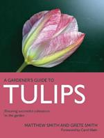 Tulips: Ensuring Successful Cultivation in the Garden