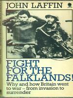 Fight for the falklands!