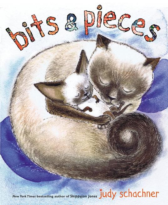 Bits & Pieces - Judy Schachner - ebook