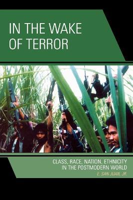 In the Wake of Terror: Class, Race, Nation, Ethnicity in the Postmodern World - E. San Juan - cover