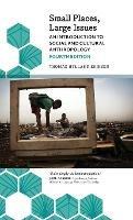 Small Places, Large Issues: An Introduction to Social and Cultural Anthropology