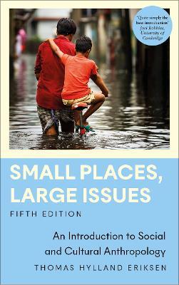 Small Places, Large Issues: An Introduction to Social and Cultural Anthropology - Thomas Hylland Eriksen - cover