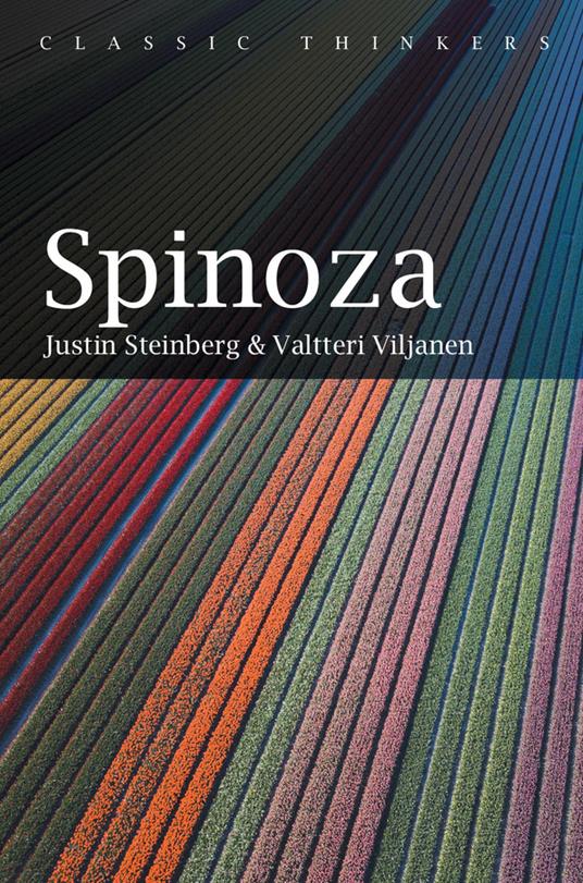 Spinoza - Justin Steinberg - cover