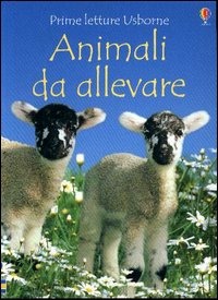 Libreria Postumia