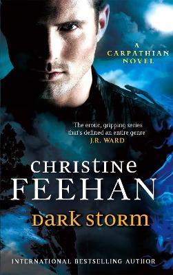 Dark Storm: Number 23 in series - Christine Feehan - cover