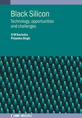 Black Silicon: Technology, opportunities and challenges - N M Ravindra,Priyanka Singh - cover