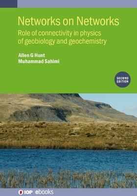 Networks on Networks (Second Edition): Role of connectivity in physics of geobiology and geochemistry - Allen G Hunt,Muhammad Sahimi - cover
