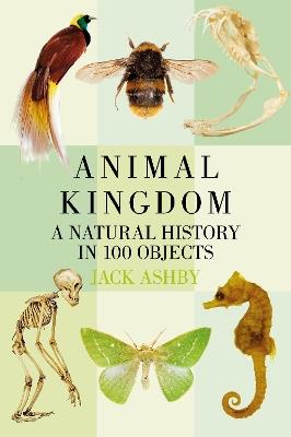 Animal Kingdom: A Natural History in 100 Objects - Jack Ashby - cover