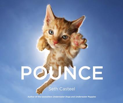 Pounce - Casteel Seth - ebook
