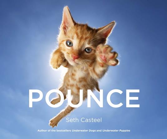 Pounce - Casteel Seth - ebook