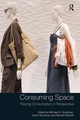 Consuming Space: Placing Consumption in Perspective - cover