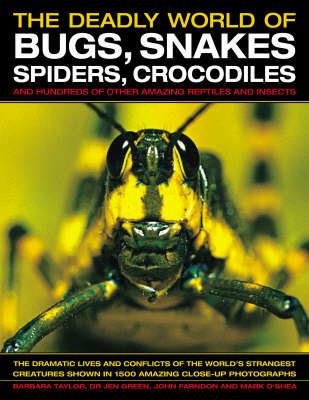The Deadly World of Bugs, Snakes, Spiders, Crocodiles and Hundreds of Other Amazing Reptiles and Insects: Discover the Amazing World of Reptiles and Bugs, Featuring More Than 1500 Fabulous Wildlife Photographs and Illustrations - Barbara Taylor,Jen Green,John Farndon - cover