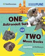 One Astronaut Suit and Two Moon Rocks: Counting at the Museum